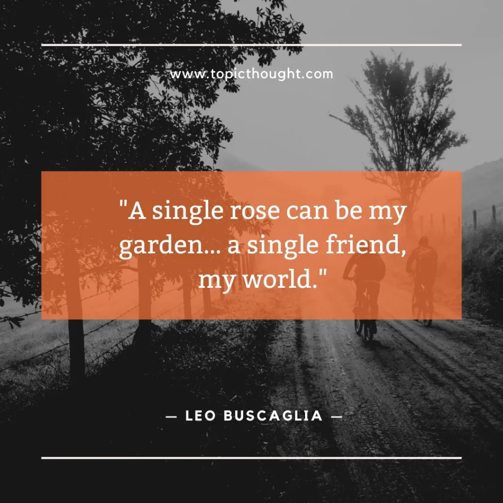 A single rose can be my garden… a single friend, my world