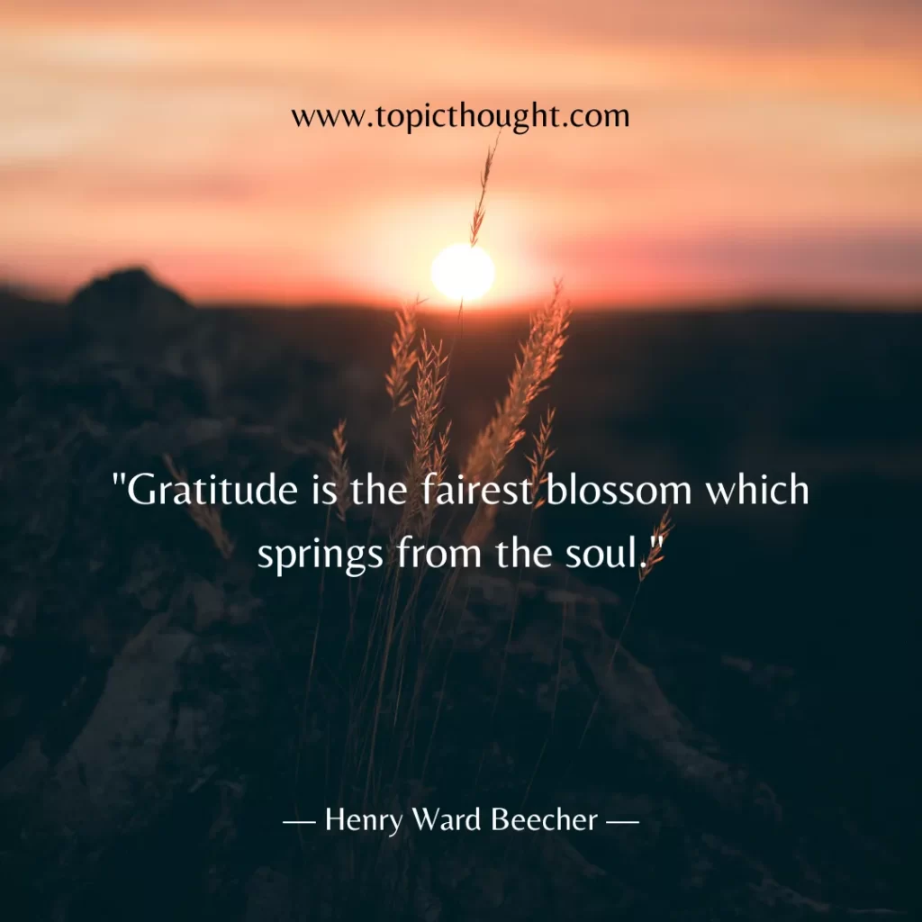 Gratitude is the fairest blossom which springs from the soul