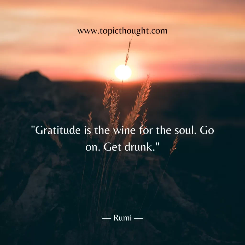 Gratitude is the wine for the soul. Go on. Get drunk