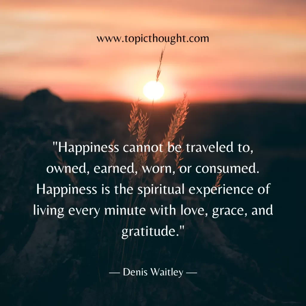 Happiness cannot be traveled to, owned, earned, worn, or consumed. Happiness is the spiritual experience of living every minute with love, grace, and gratitude