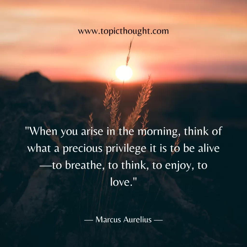 When you arise in the morning, think of what a precious privilege it is to be alive—to breathe, to think, to enjoy, to love